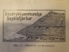 Gosdrykkjaverksmiðja Seyðisfjarðar.